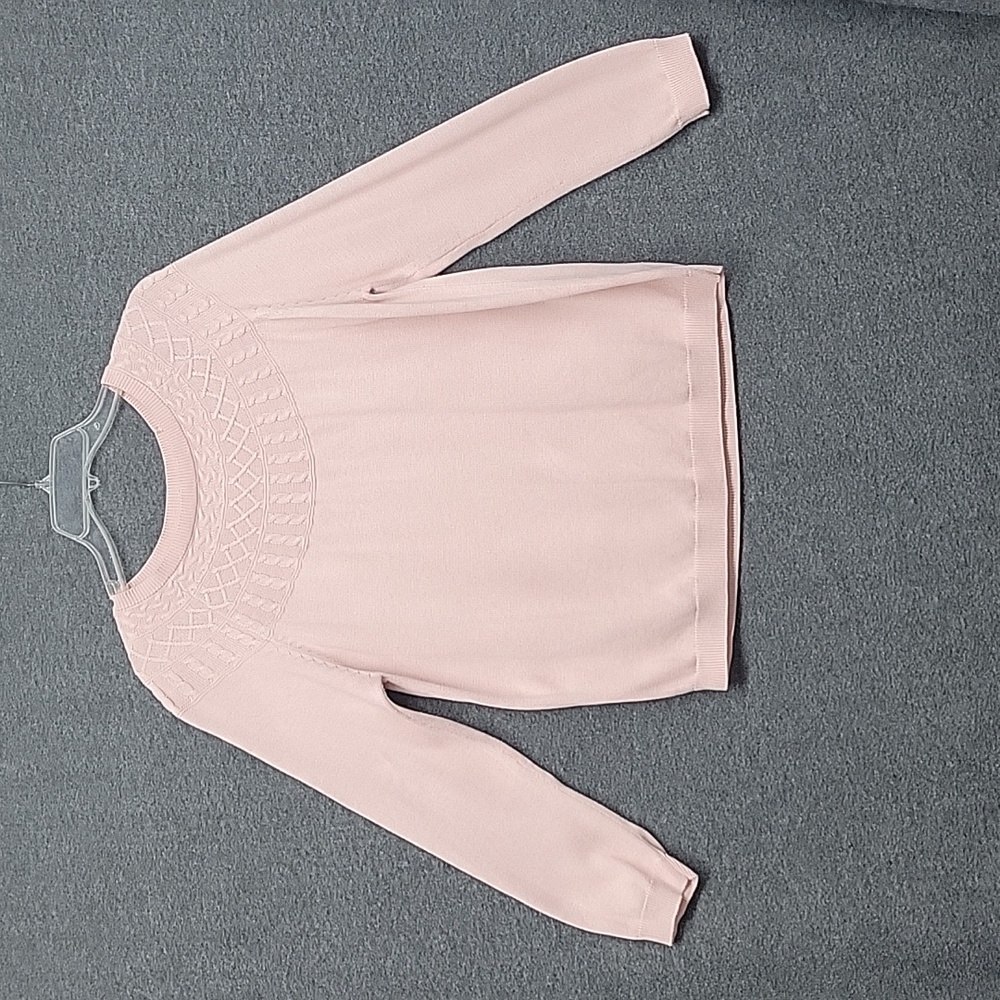 Kim Rogers Pink Sweater Size XL Petite Raglan Sleeve